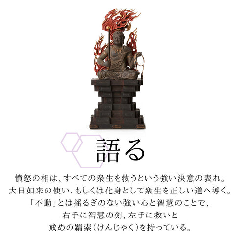 イスム TanaCOCORO 不動明王.|s4